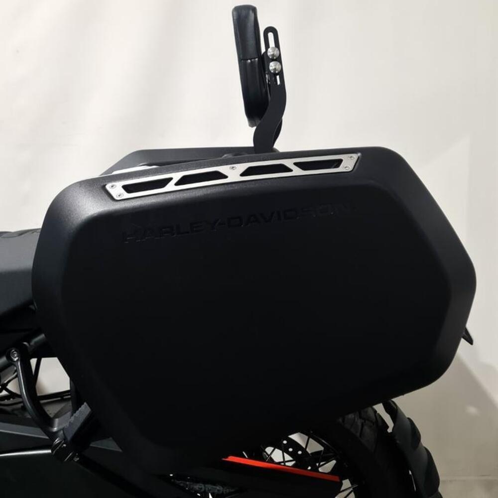 Harley-Davidson Pan America 1250 Special (2020 - 25) (13)