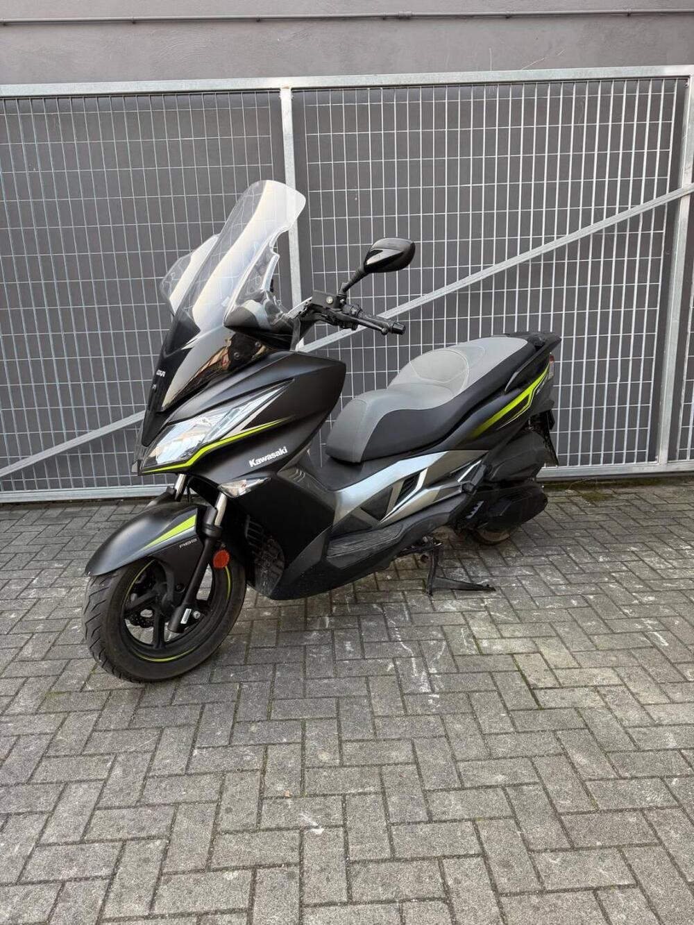 Kawasaki J 300 SE (2017 - 18) (3)