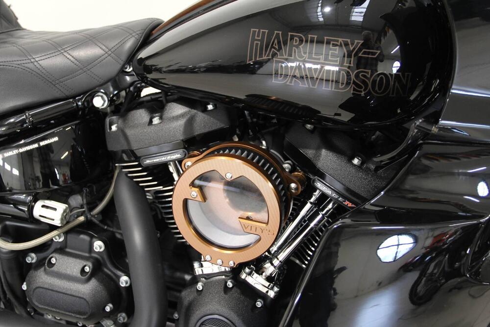 Harley-Davidson Low Rider ST (2022 - 24) (5)
