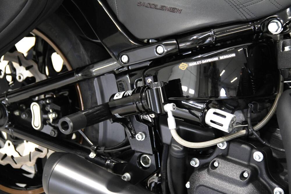 Harley-Davidson Low Rider ST (2022 - 24) (8)