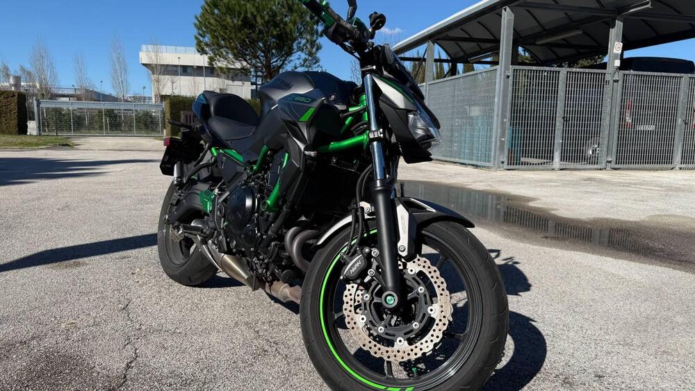 Kawasaki Z 650 (2021 - 24)