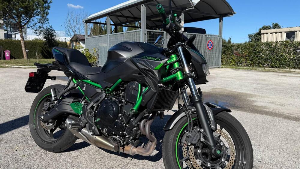 Kawasaki Z 650 (2021 - 24) (7)