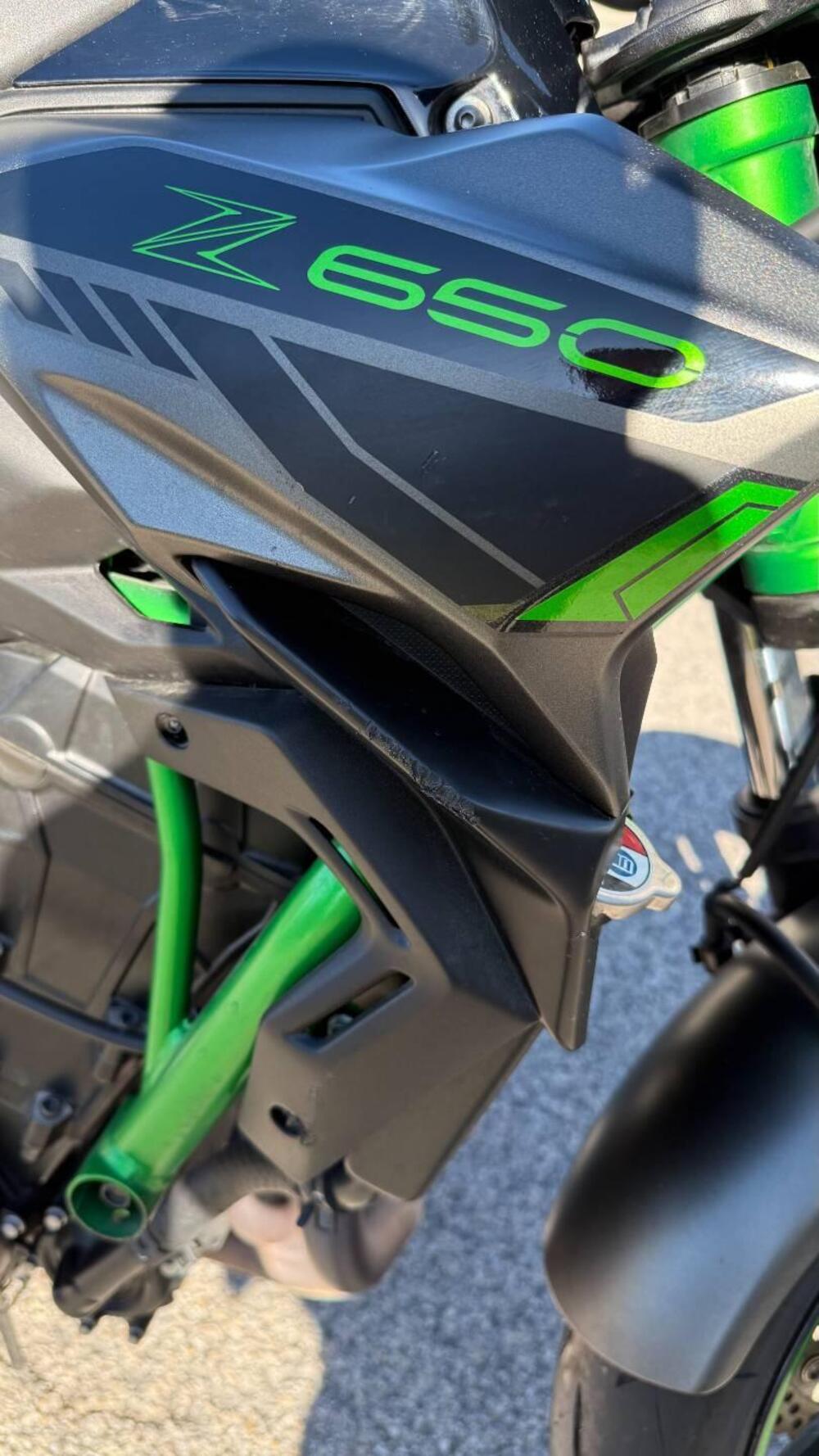 Kawasaki Z 650 (2021 - 24) (8)