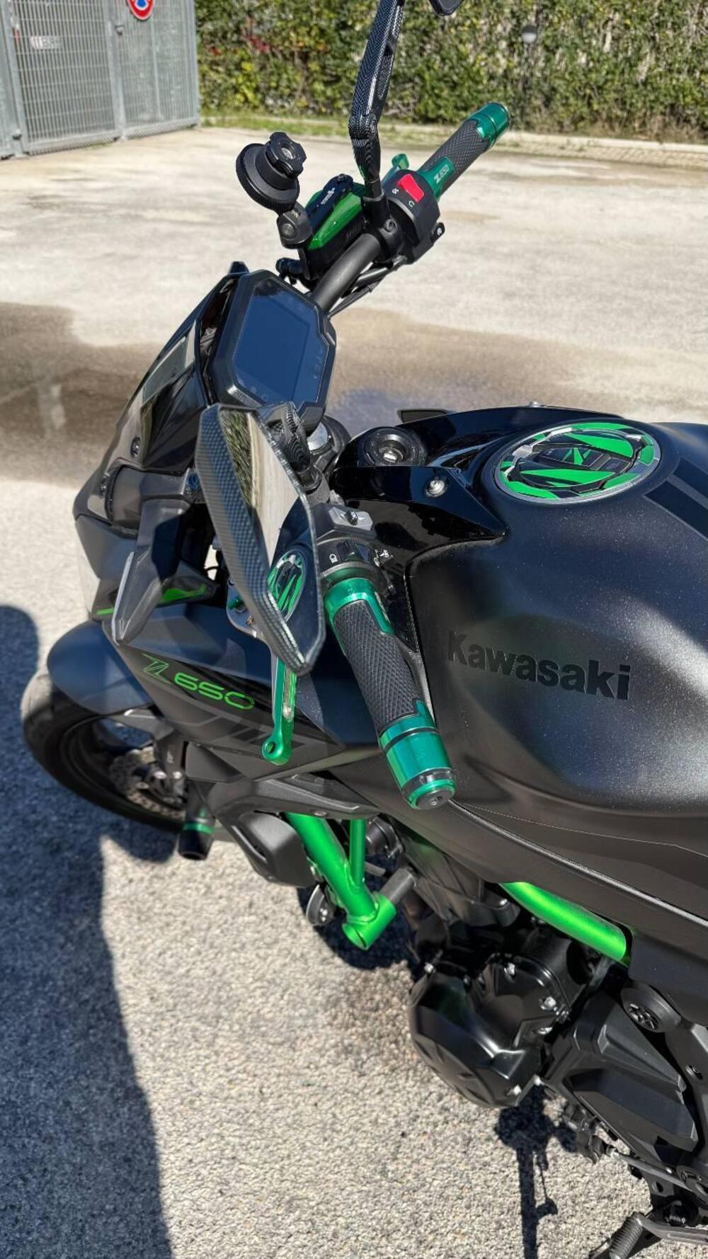 Kawasaki Z 650 (2021 - 24) (9)
