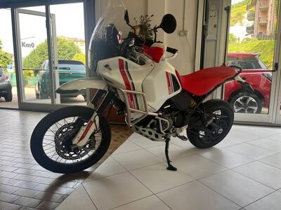 Ducati DesertX (2022 - 25) usata