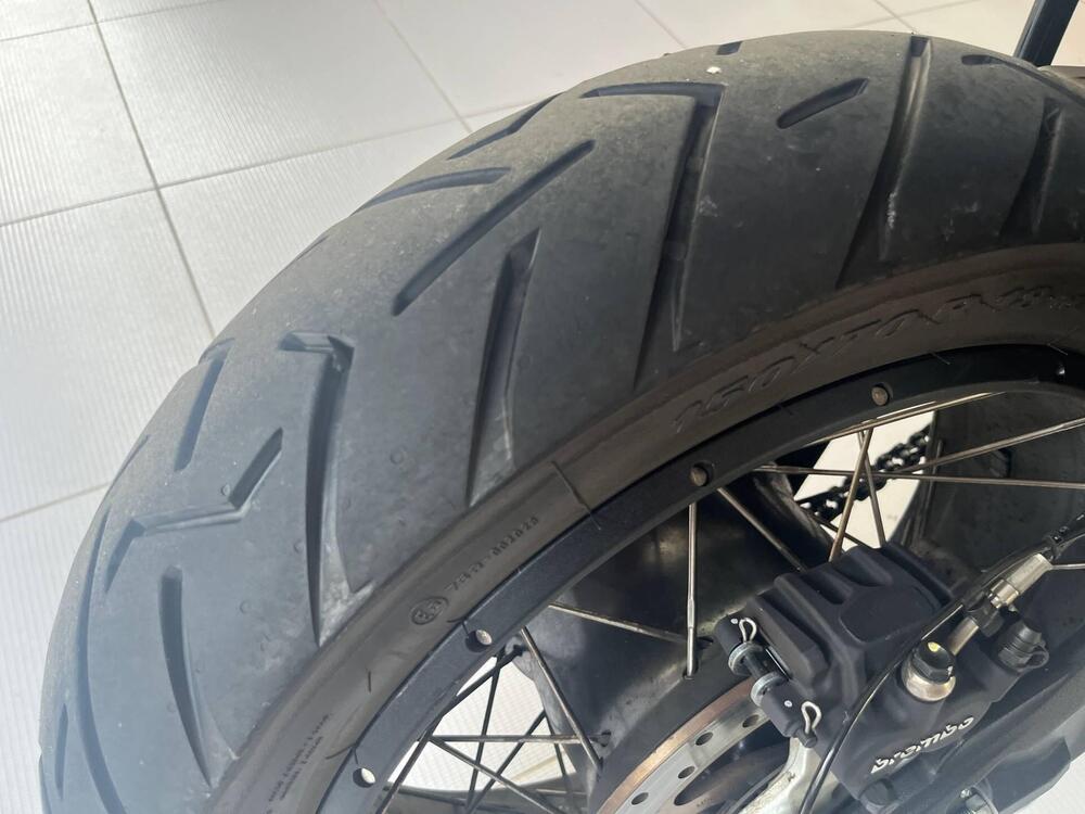 Ducati DesertX (2022 - 25) (10)