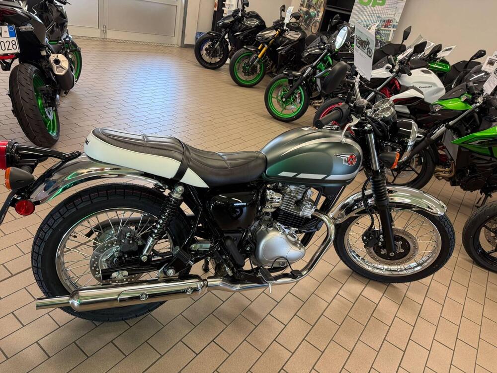 Kawasaki W 230 (2025 - 26)