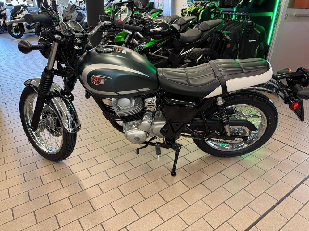 Kawasaki W 230 (2025 - 26) (2)