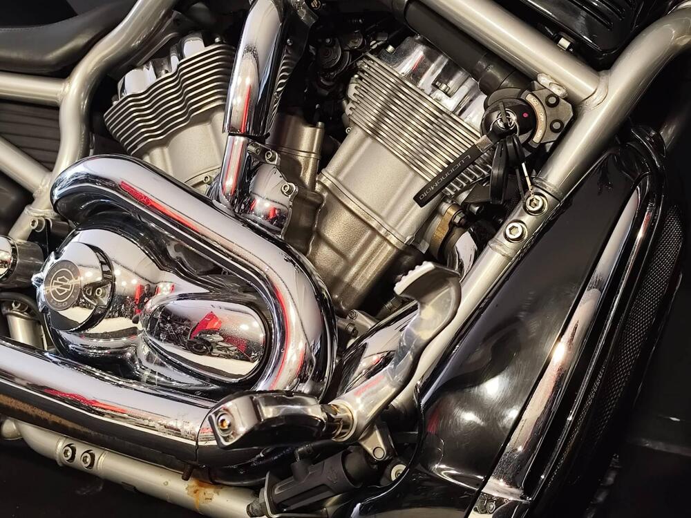 Harley-Davidson 1250 V-Rod (2008 - 12) - VRSCAW (18)