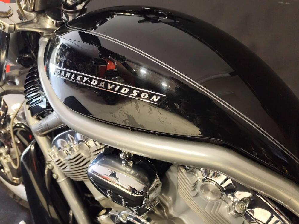 Harley-Davidson 1250 V-Rod (2008 - 12) - VRSCAW (12)