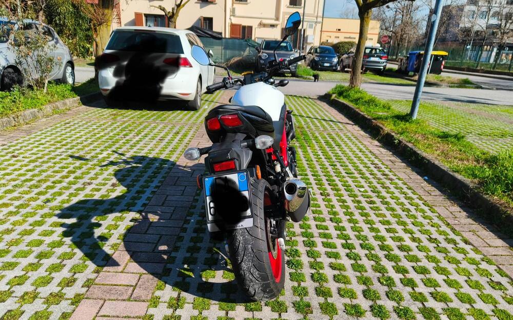 Suzuki SV650 (2021 - 24) (4)