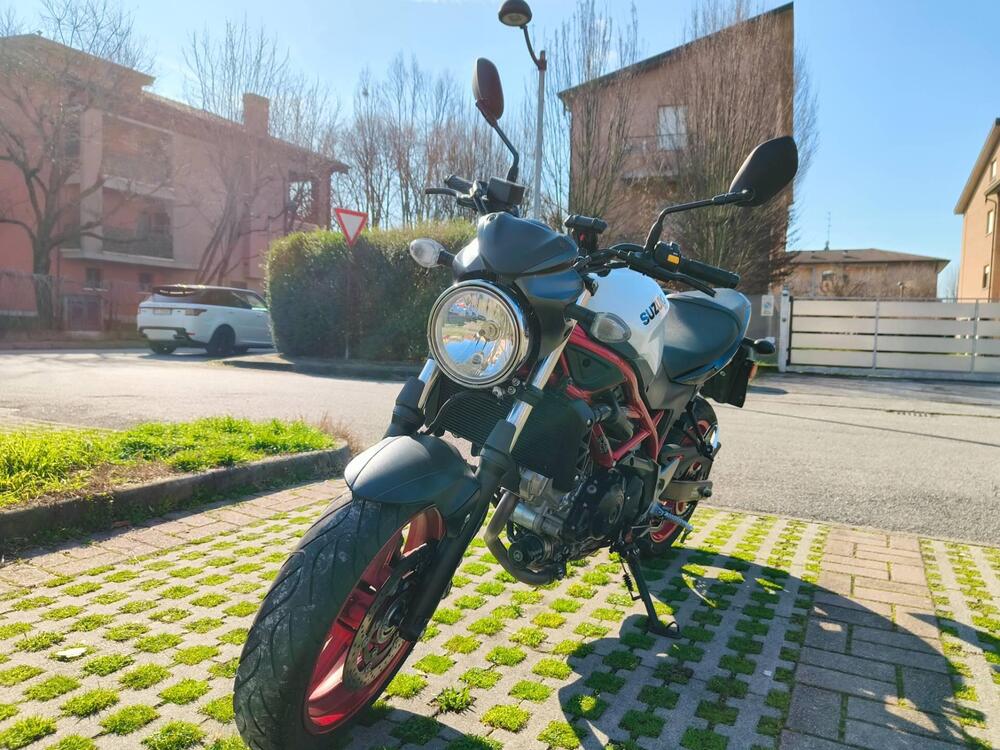 Suzuki SV650 (2021 - 24) (2)