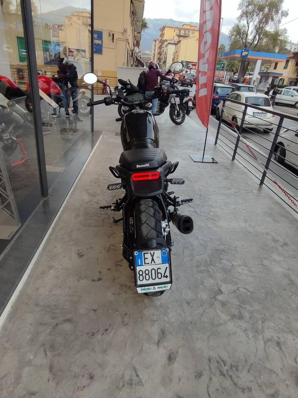 Benelli Leoncino 500 Trail (2021 - 26) (5)