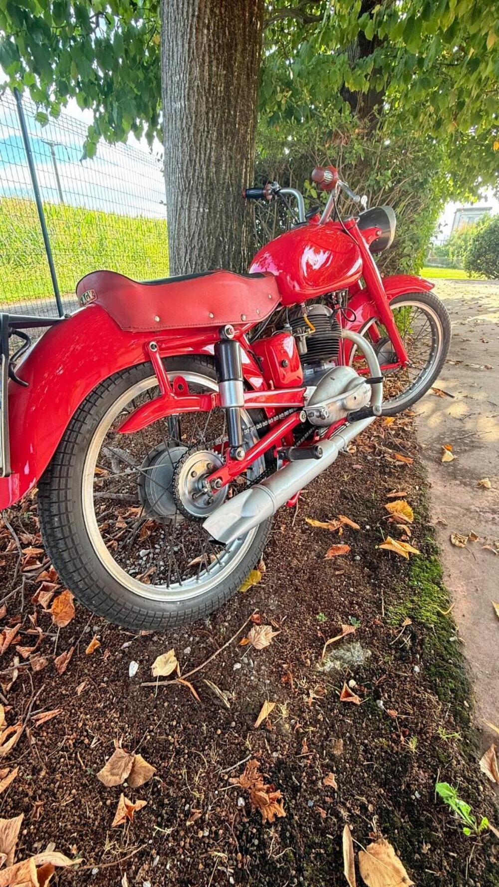 Moto Morini 175 Gt (2)