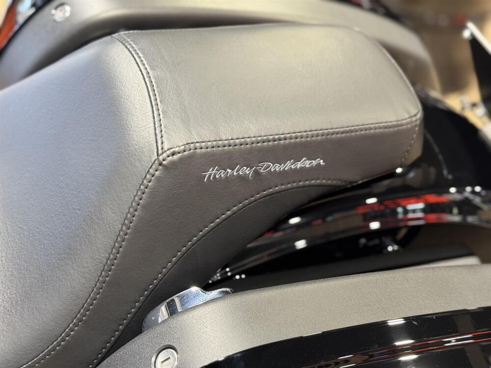 Harley-Davidson Low Rider S (2022 - 24) (4)