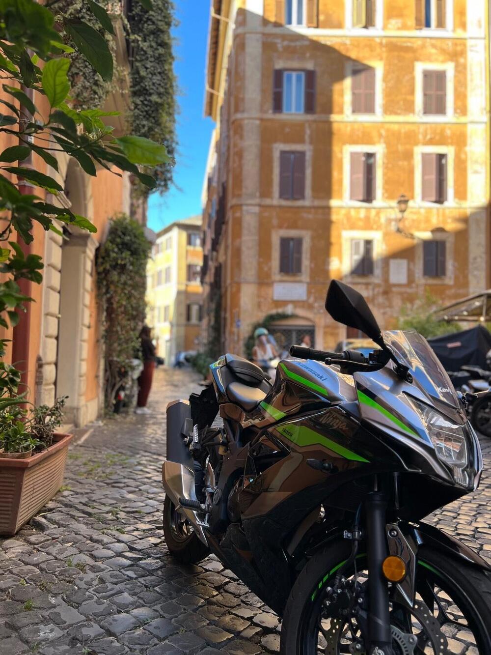 Kawasaki Ninja 125 (2021 - 24)