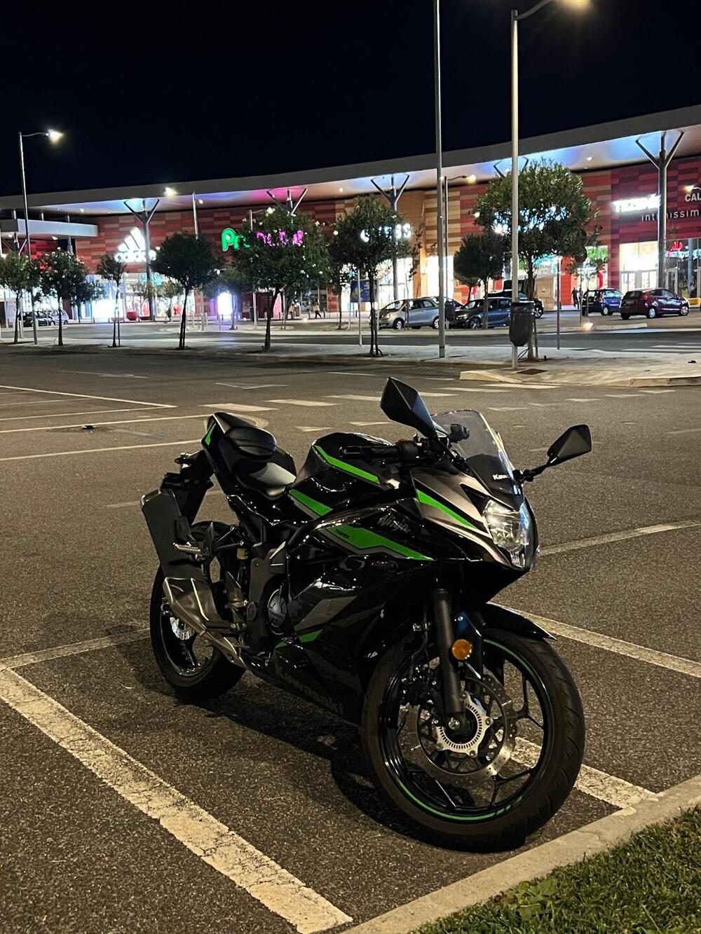 Kawasaki Ninja 125 (2021 - 24) (2)