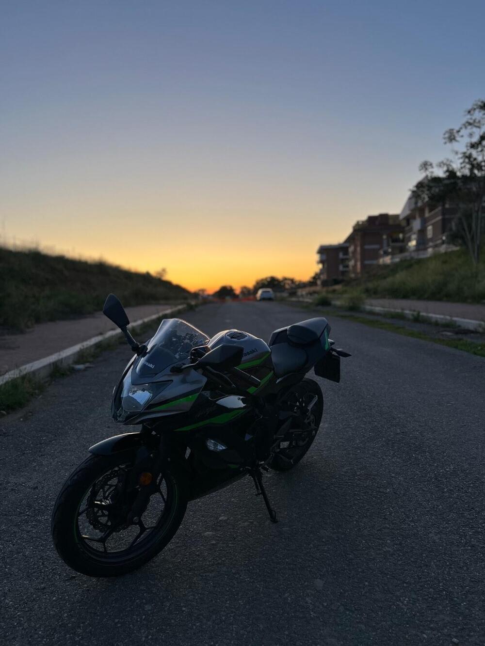 Kawasaki Ninja 125 (2021 - 24) (3)