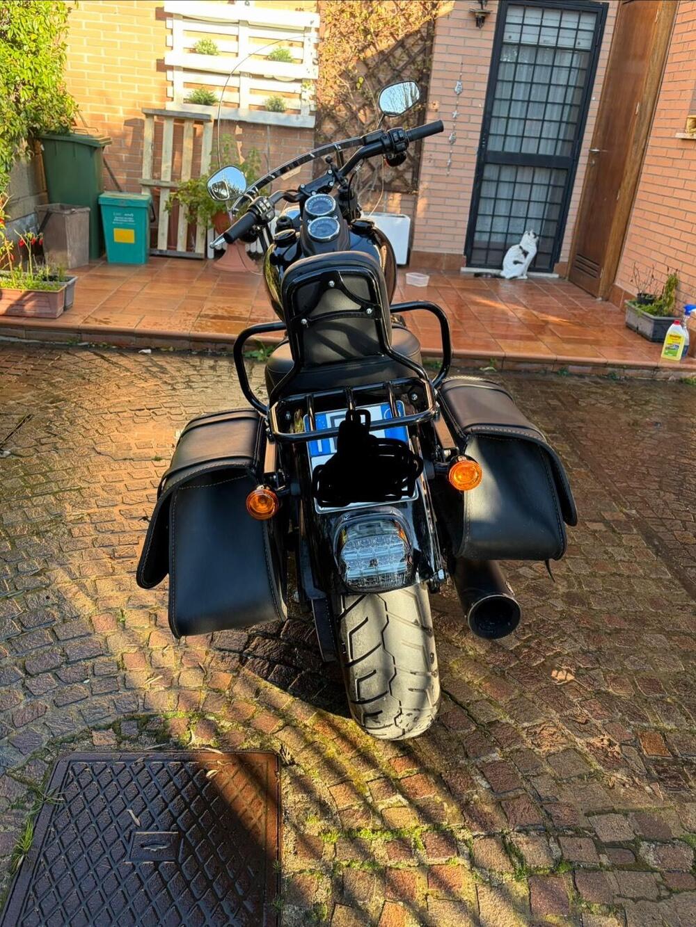 Harley-Davidson 114 Low Rider S (2020) - FXLRS (2)