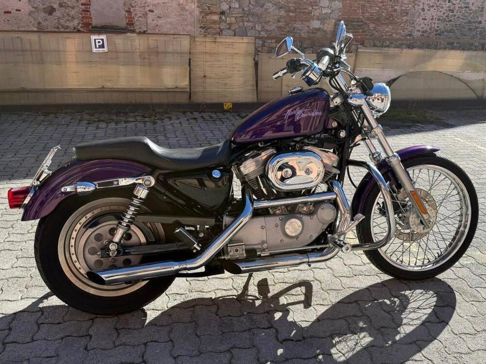 Harley-Davidson 883 Custom (2001 - 05) - XL 53C