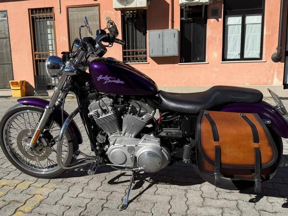 Harley-Davidson 883 Custom (2001 - 05) - XL 53C (2)