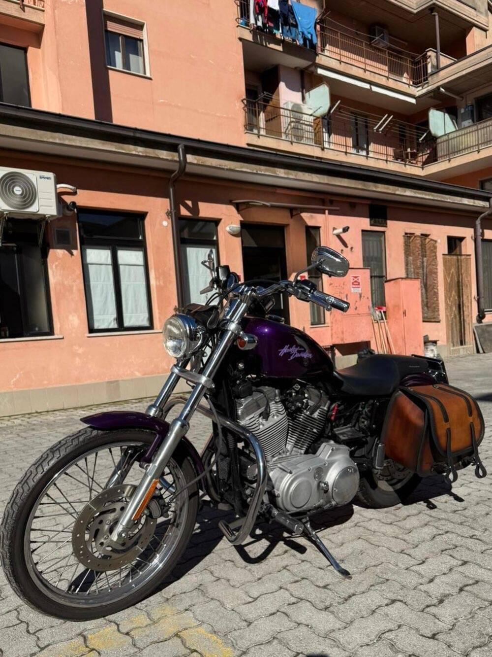 Harley-Davidson 883 Custom (2001 - 05) - XL 53C (3)