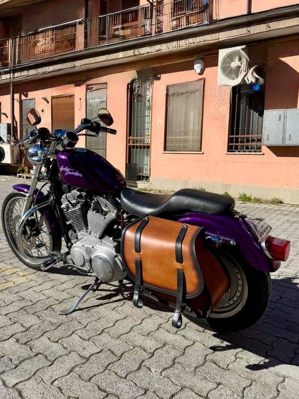 Harley-Davidson 883 Custom (2001 - 05) - XL 53C (4)