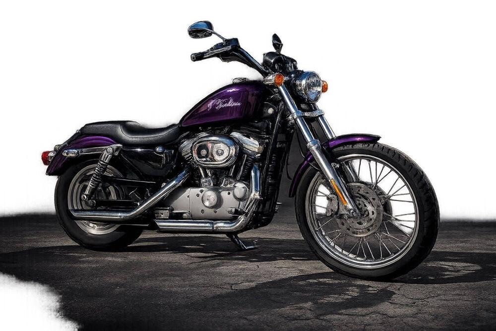 Harley-Davidson 883 Custom (2001 - 05) - XL 53C (5)