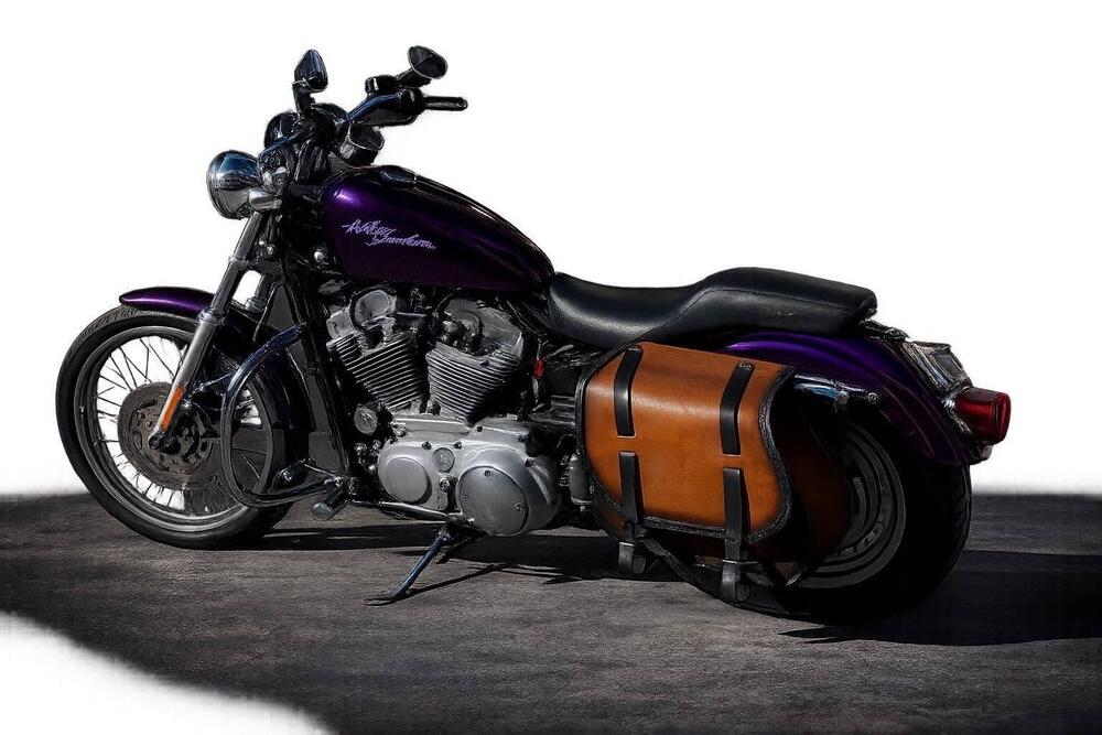 Harley-Davidson 883 Custom (2001 - 05) - XL 53C (6)