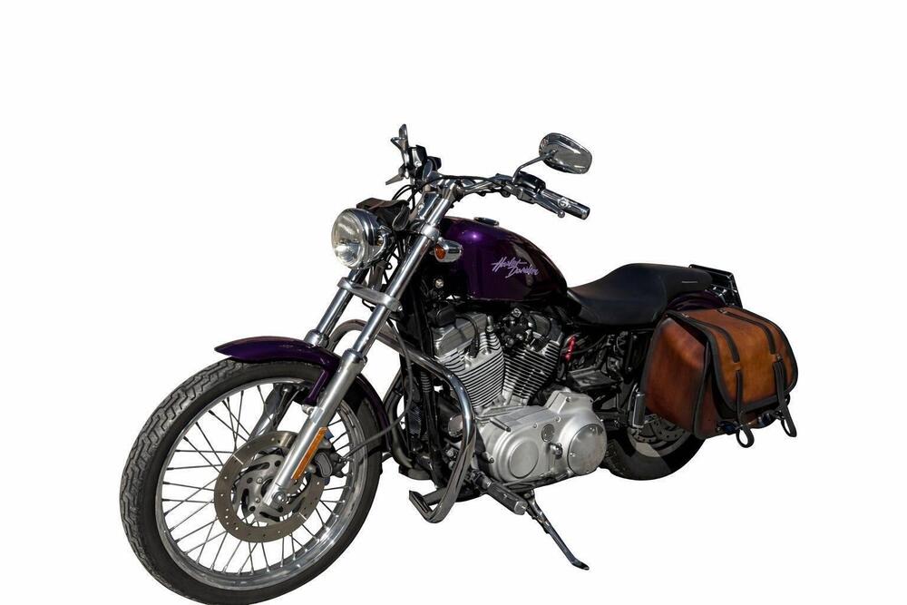 Harley-Davidson 883 Custom (2001 - 05) - XL 53C (7)