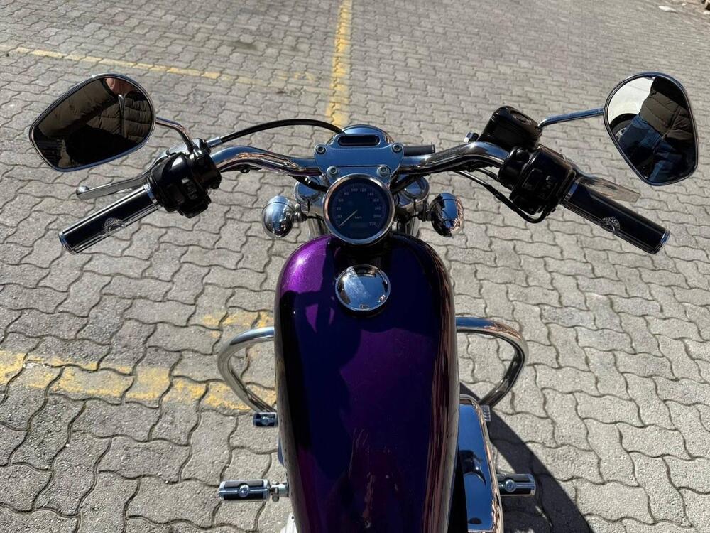 Harley-Davidson 883 Custom (2001 - 05) - XL 53C (8)