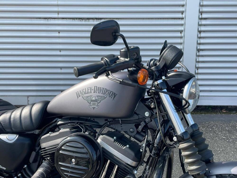 Harley-Davidson 883 Iron (2012 - 14) - XL 883N (4)
