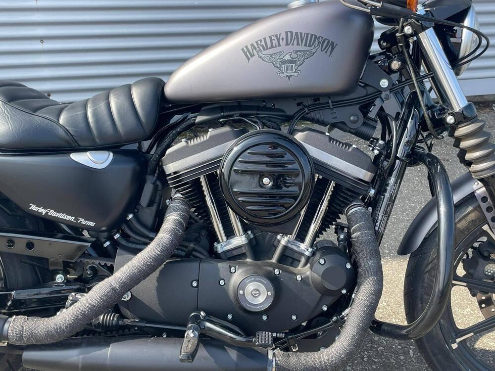 Harley-Davidson 883 Iron (2012 - 14) - XL 883N (6)