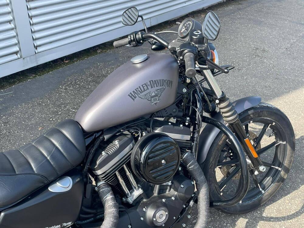 Harley-Davidson 883 Iron (2012 - 14) - XL 883N (8)