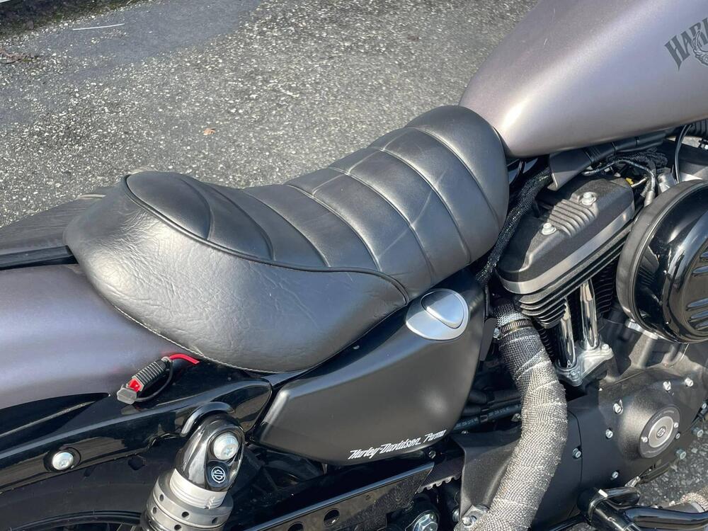 Harley-Davidson 883 Iron (2012 - 14) - XL 883N (9)