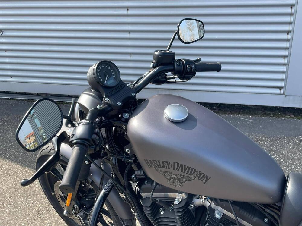 Harley-Davidson 883 Iron (2012 - 14) - XL 883N (11)