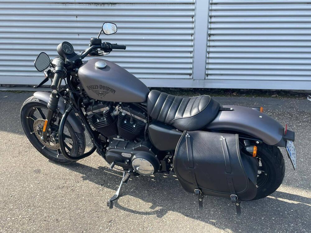Harley-Davidson 883 Iron (2012 - 14) - XL 883N (16)