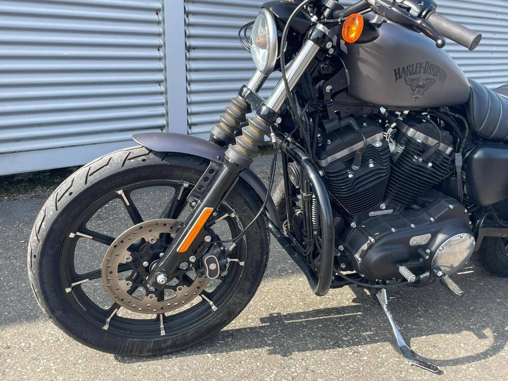 Harley-Davidson 883 Iron (2012 - 14) - XL 883N (14)