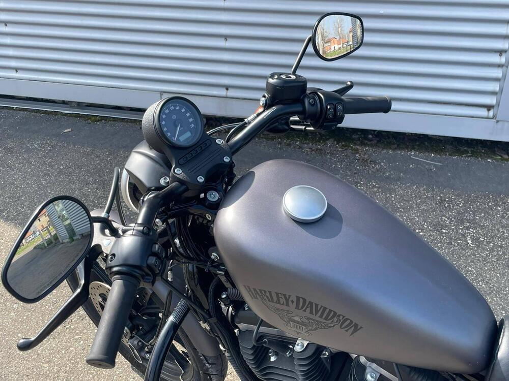 Harley-Davidson 883 Iron (2012 - 14) - XL 883N (15)
