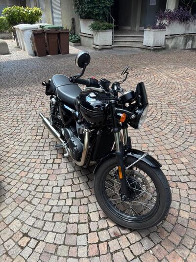 Triumph Bonneville T100 (2021 - 25) usata
