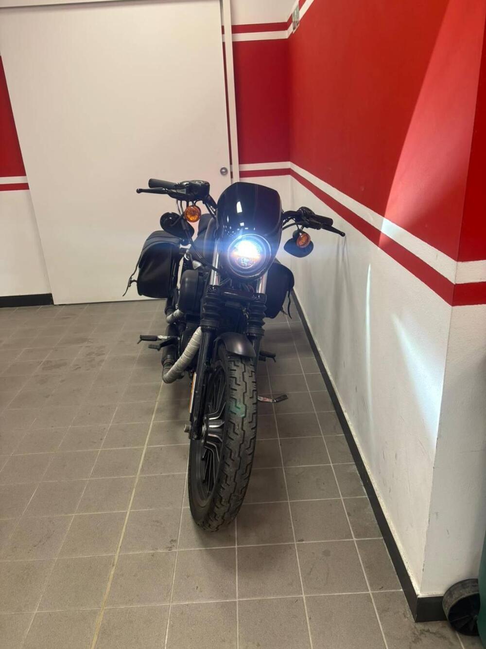 Harley-Davidson 883 Iron (2012 - 14) - XL 883N (4)