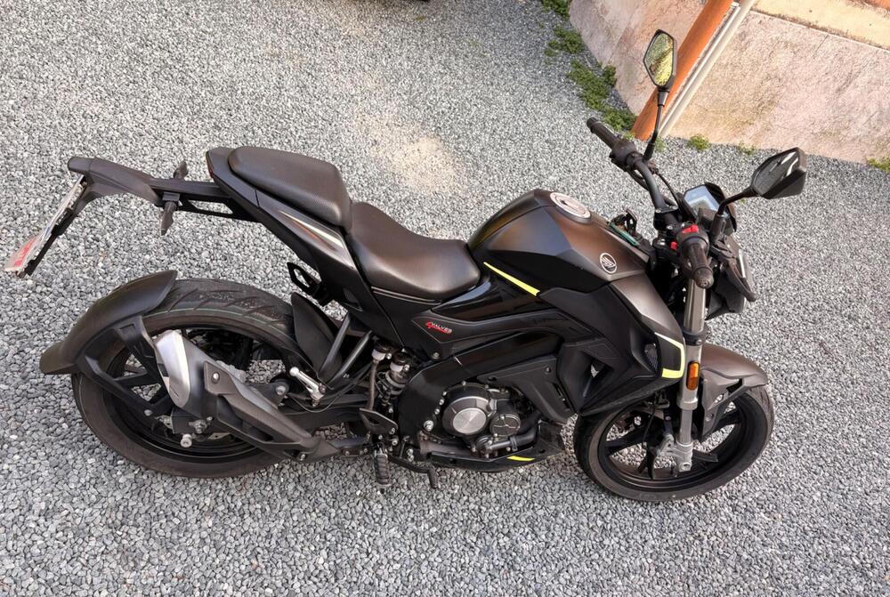 Keeway Motor RKF 125 (2021 - 24) (2)