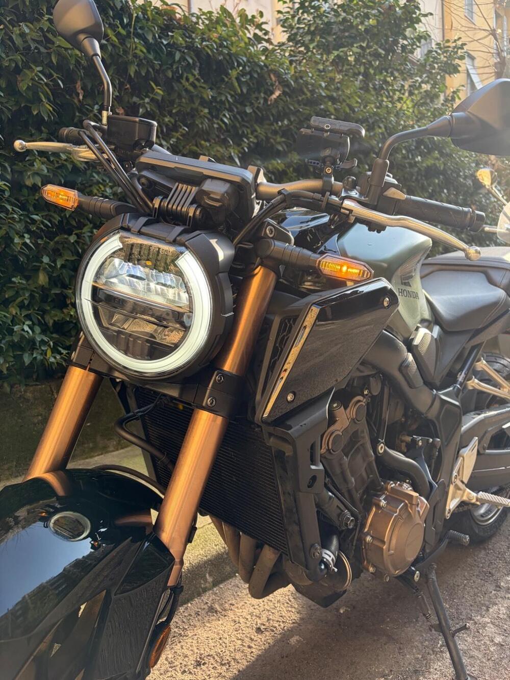 Honda CB 650 R (2019 - 20) (5)