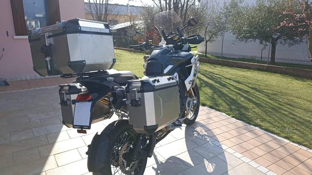 Triumph Tiger 1200 Rally Pro (2022 - 23) (5)