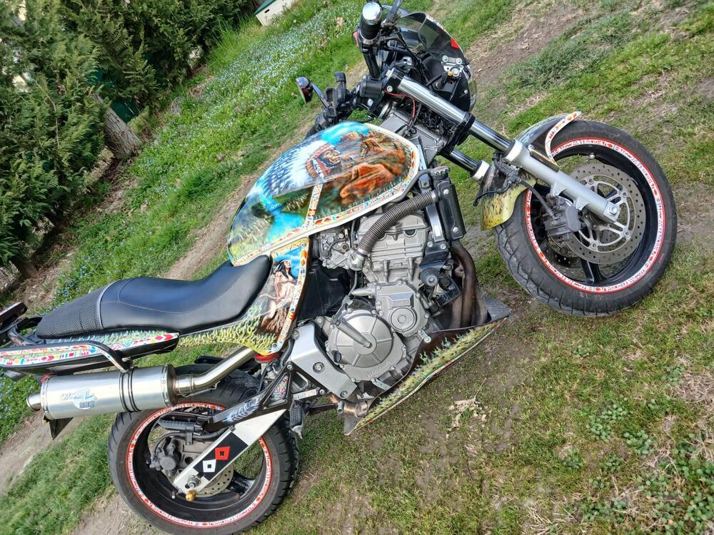 Honda Hornet 600 (2000 - 02)