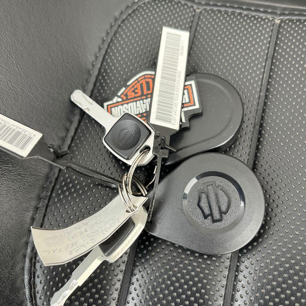 Harley-Davidson 107 Low Rider (2018 - 20) - FXLR (12)