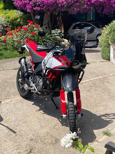 Ducati DesertX Rally (2024 - 25) usata