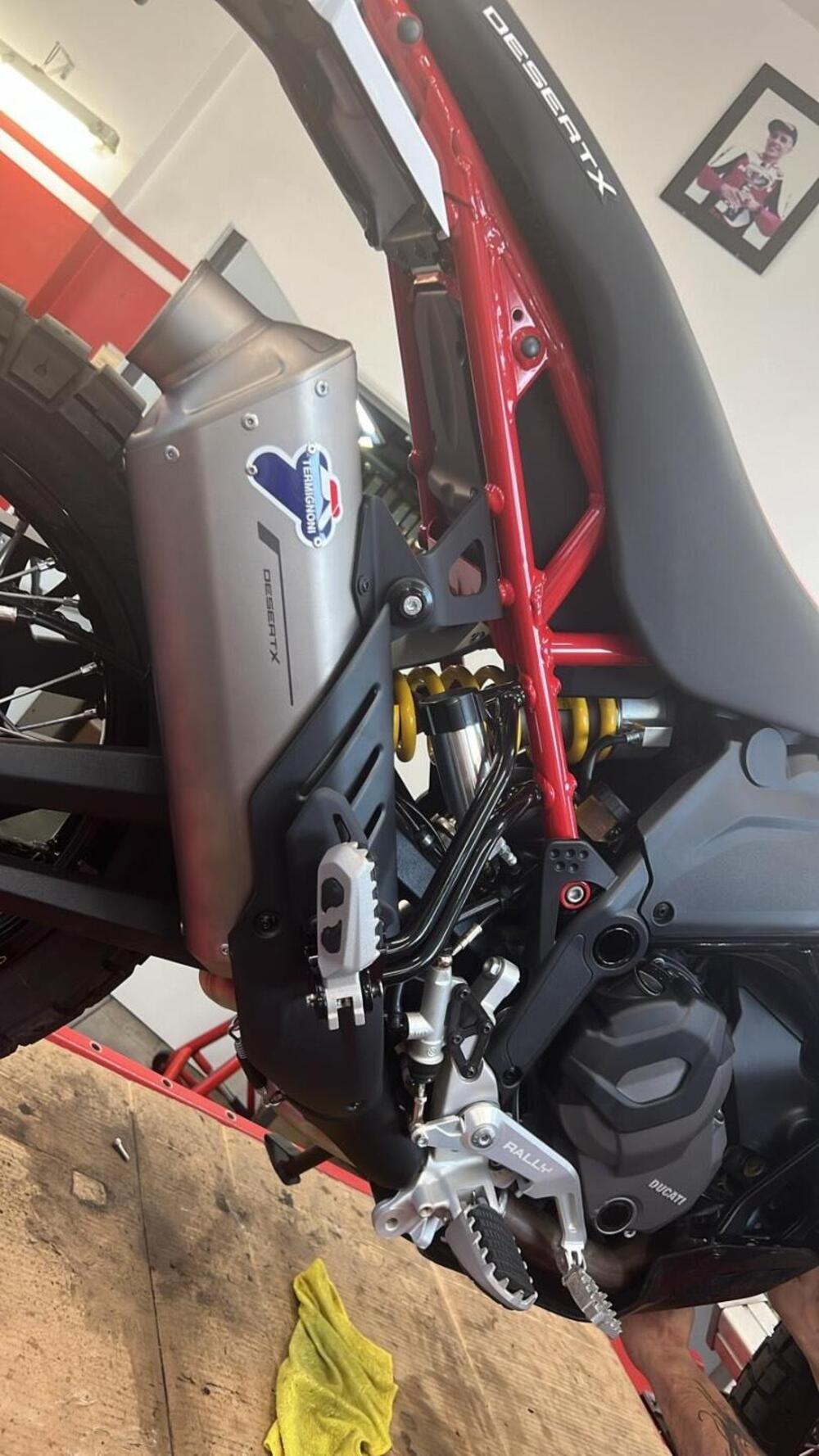 Ducati DesertX Rally (2024 - 25) (4)