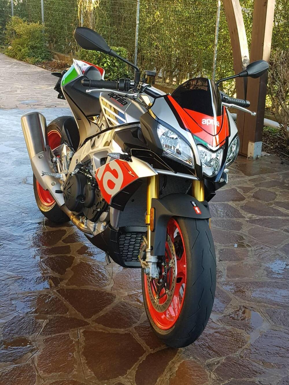 Aprilia Tuono V4 Factory (2017 - 18) (4)