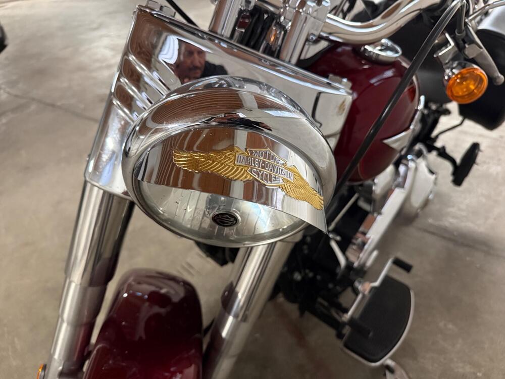 Harley-Davidson 1690 Fat Boy Special (2010 - 17) - FLSTF (4)